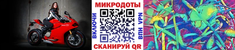 ОМГ ОМГ как войти  Чухлома  Псилоцибиновые грибы GOLDEN TEACHER 